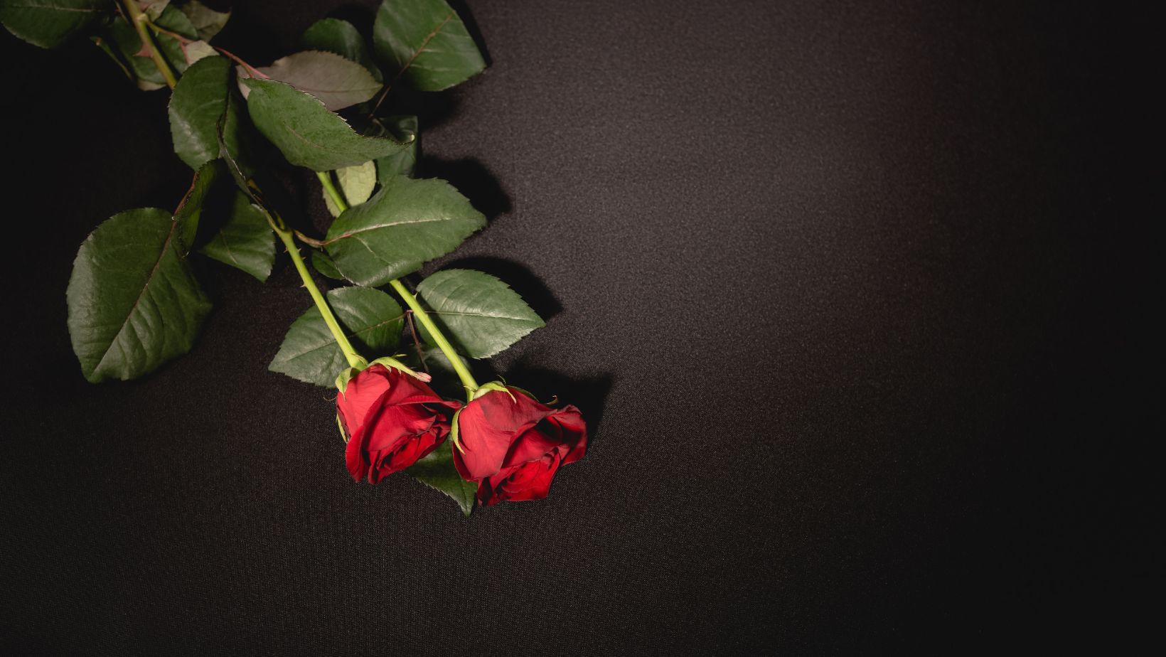ware funeral home chillicothe obituaries