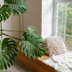 How to Choose the Right Window Styles for Your Home