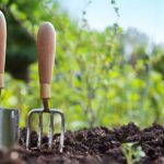 Gardening Essentials – What You Need to Start Your New Garden