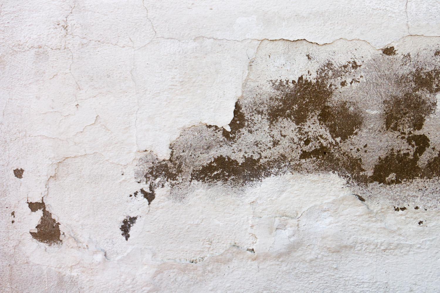 water damage signs, wall water damage detection, hidden water damage, water leak signs walls, home water damage symptoms, water damage restoration, prevent wall mold water, water damage repair tips, signs of hidden water leaks, wall damage inspection