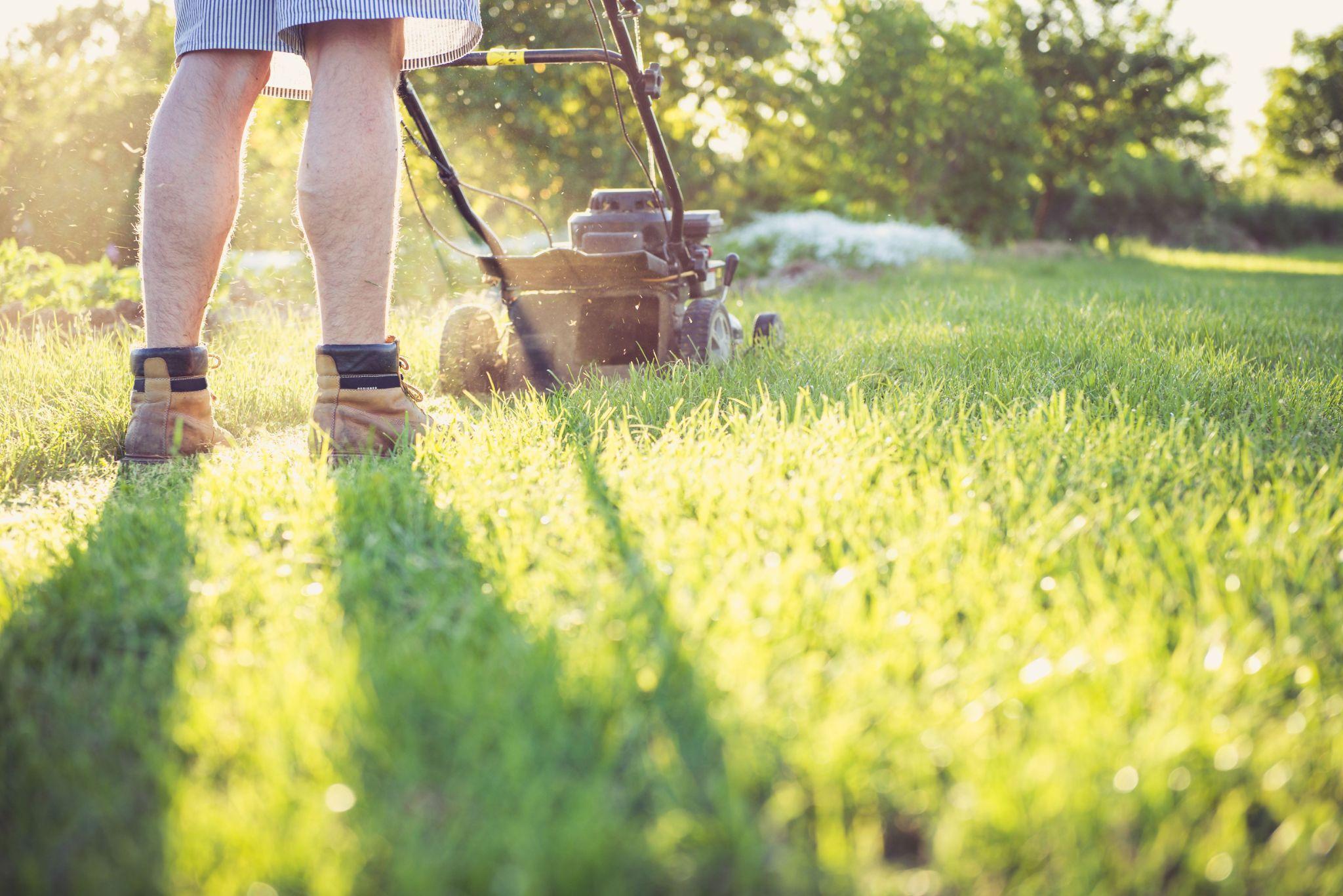 lawn care company, hiring lawn care services, best lawn care providers, lawn maintenance quotes, lawn care contractors, local lawn care, residential lawn services, commercial lawn care, lawn care questions